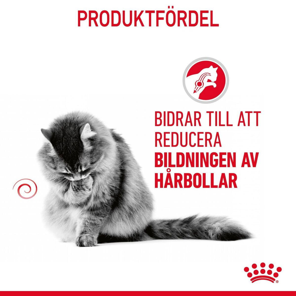 Royal Canin Hairball Care Gravy Adult våtfoder för katt