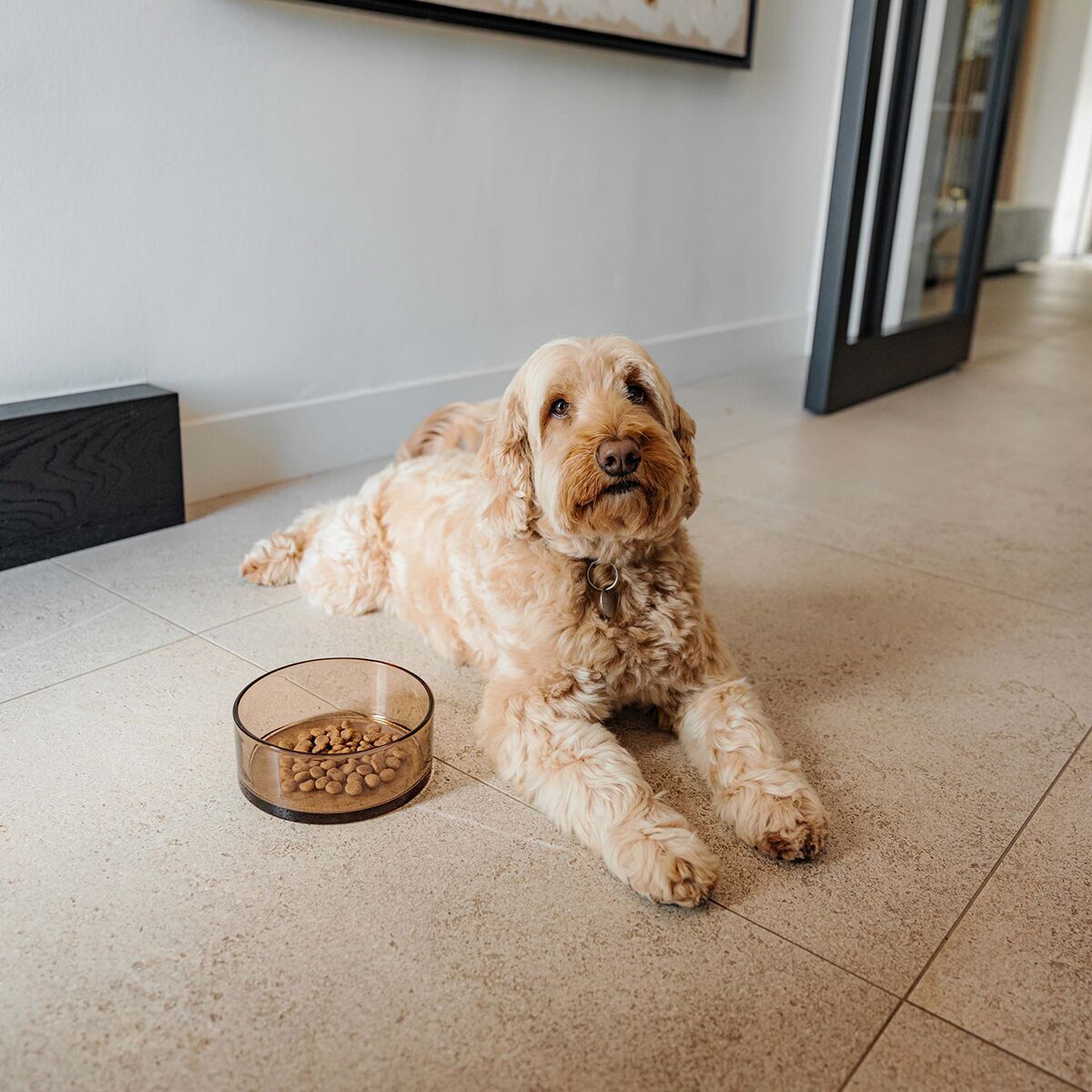Glass bowl District 70, Dawn Champagne
