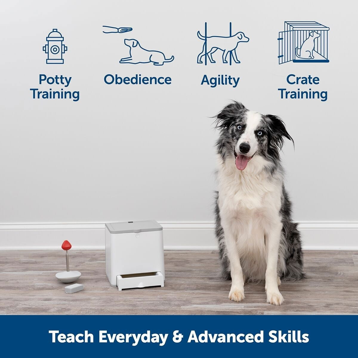 PetSafe® Teach & Treat Reward Trainer