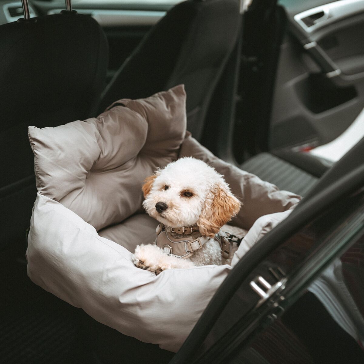 HunterDog Carrier Bag and Blanket Seoul Greige