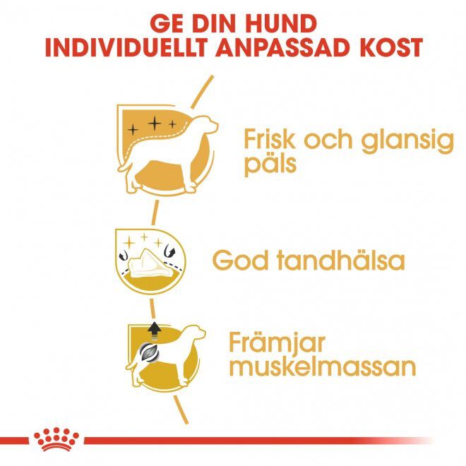 Royal Canin Poodle Adult torrfoder för hund