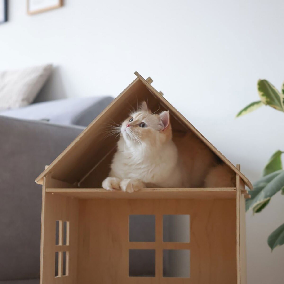 Kerbl Indoor cat house Yvi