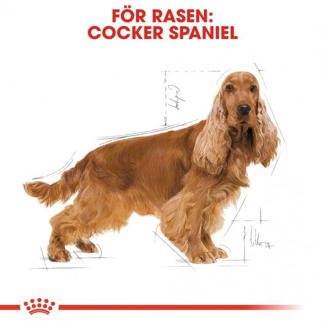 Royal Canin Cocker Adult torrfoder för hund