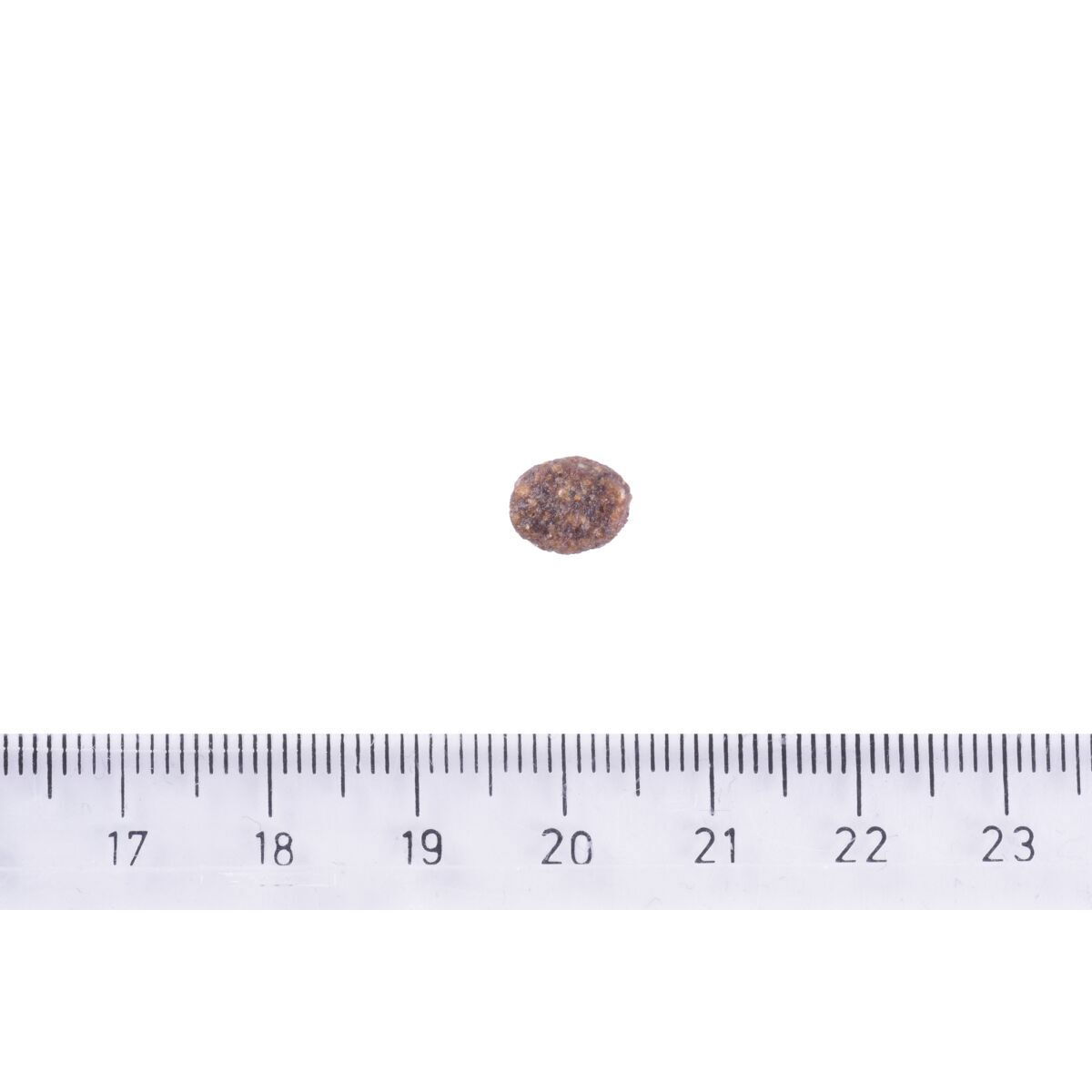 Brit Care Dog Sustainable Adult Small Breed