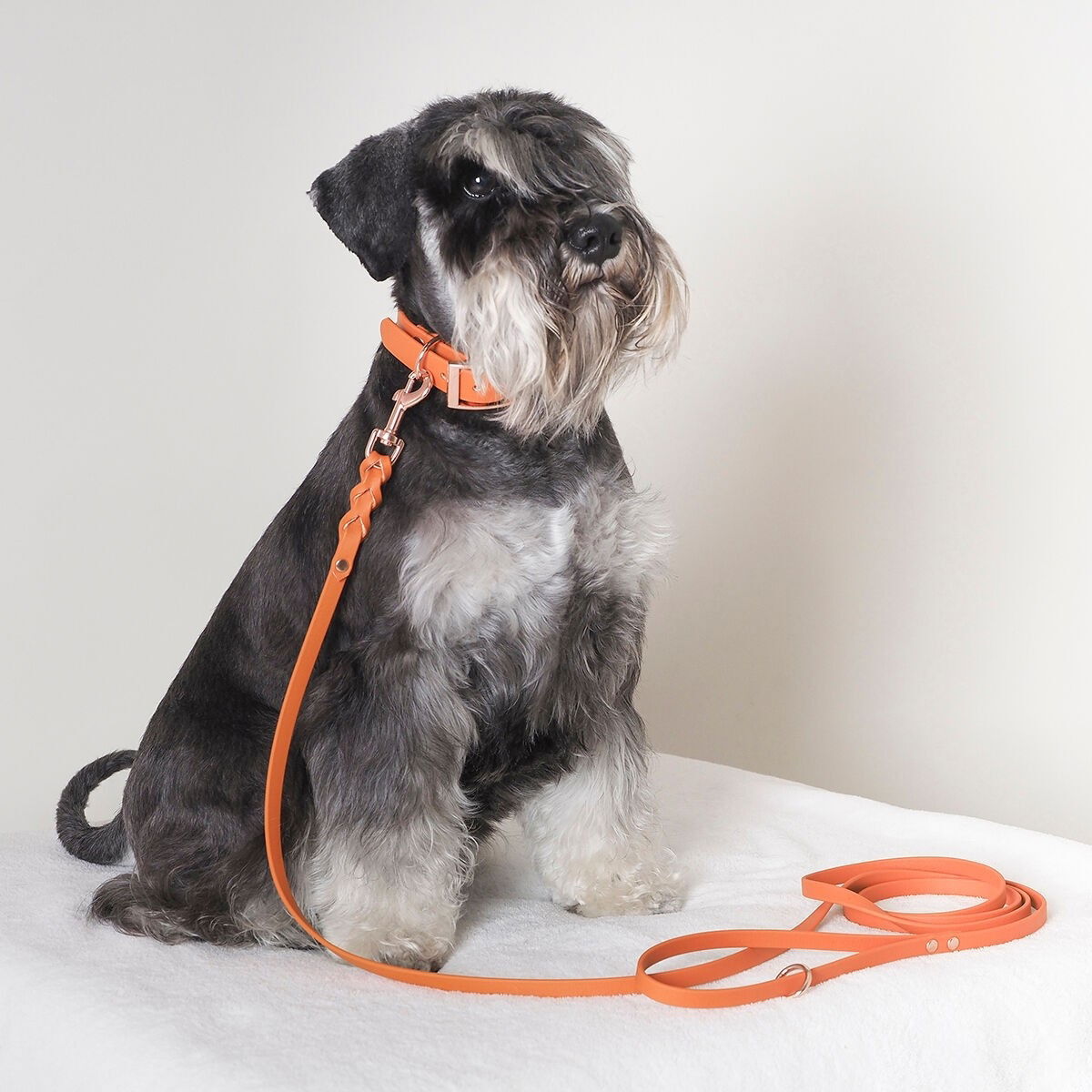 Tyylivoitto Braid leash, burnt orange