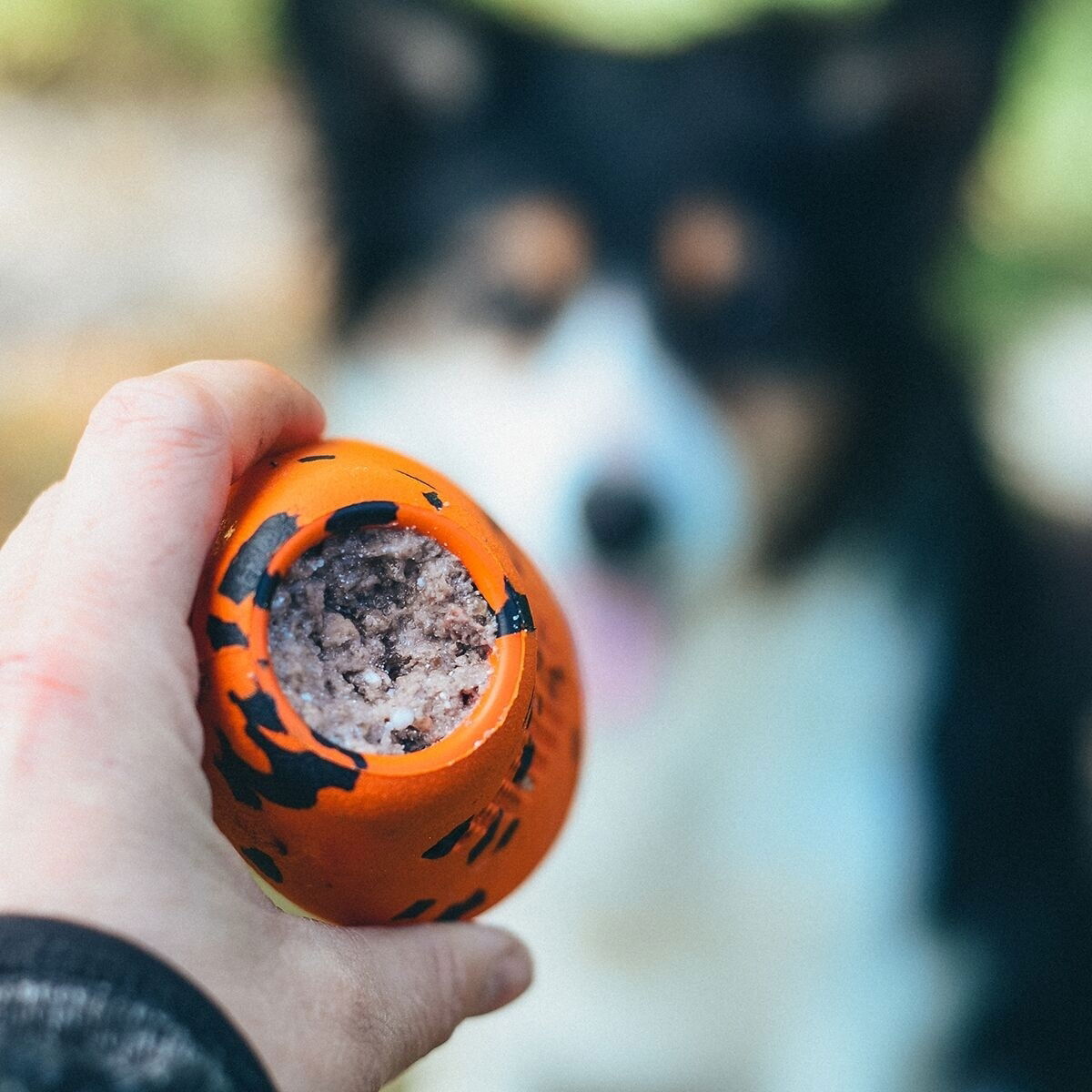 Non-Stop Dog throw toy