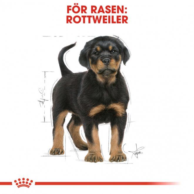 Royal Canin Rottweiler Puppy torrfoder för hundvalp