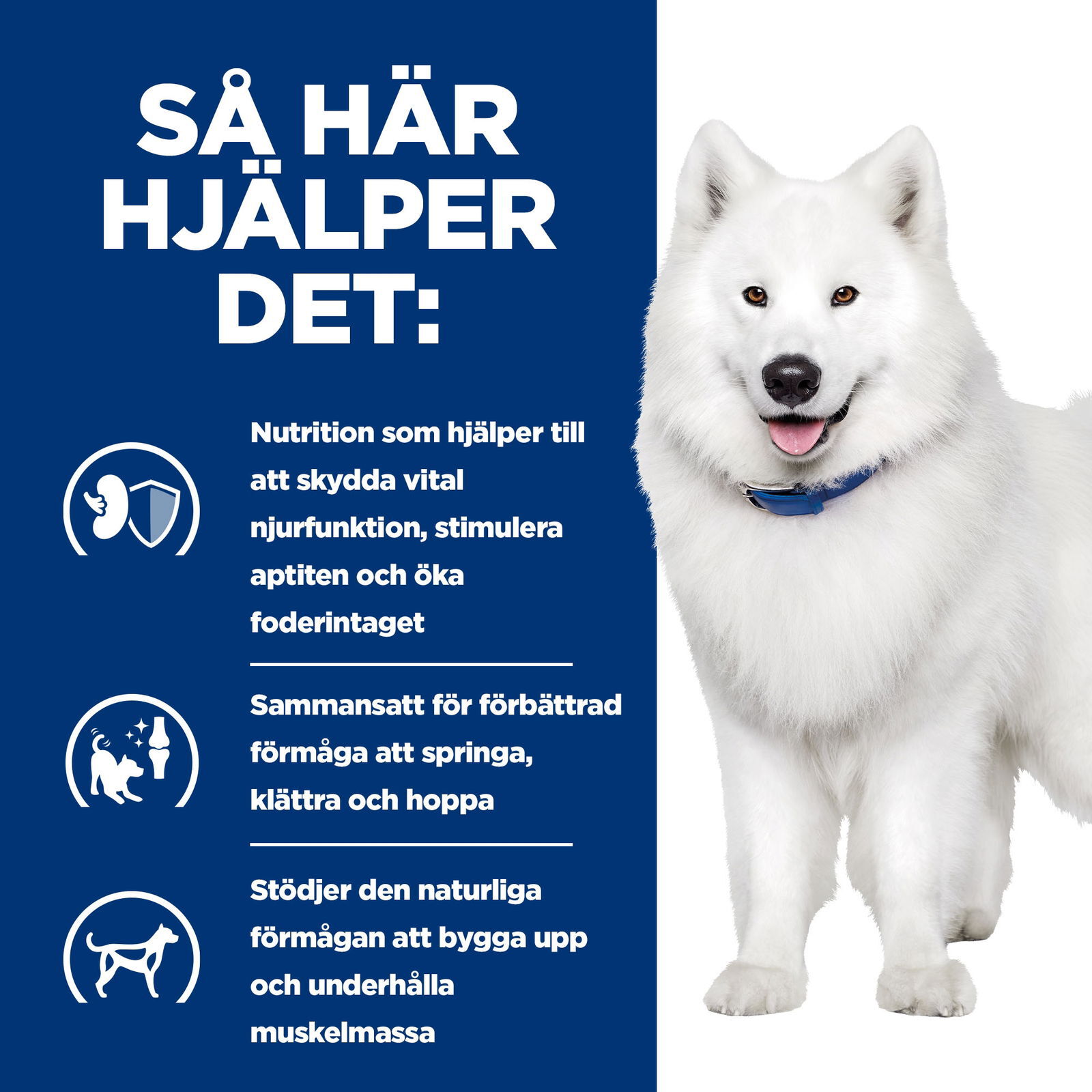 Hills Diet Dog k/d + Mobility 12kg