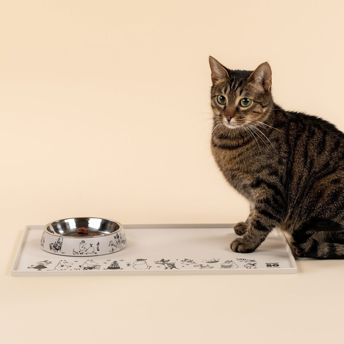 Moomin for Pets silicone mat Moomin 80 years