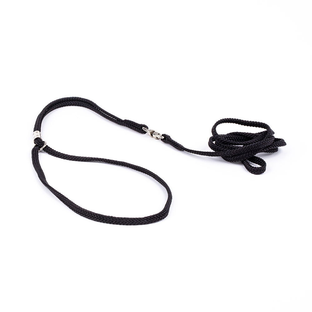 Show Dog Show lead Round, black