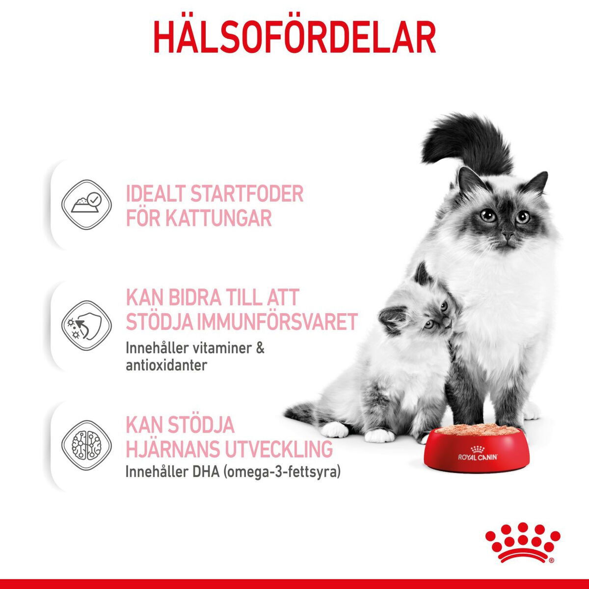 Royal Canin Mother & Babycat mousse våtfoder för katt och kattunge