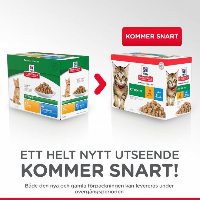 Hill's Science Plan Kitten Chicken & Ocean Fish 12x85 g