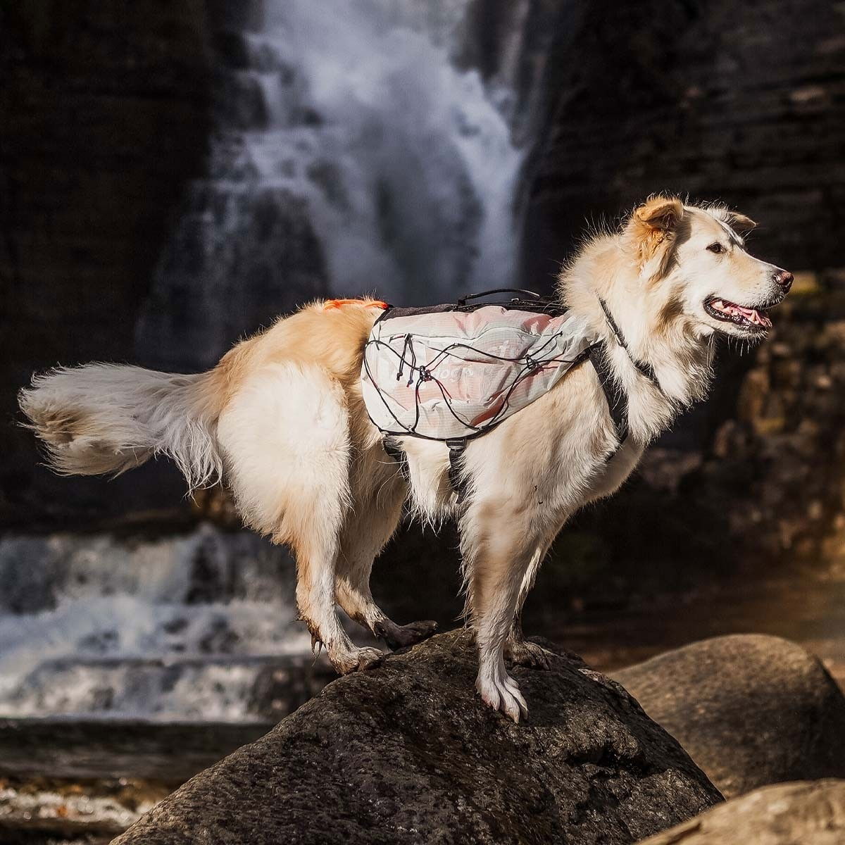 Non-Stop Trail Light dog backpack Glacier grey