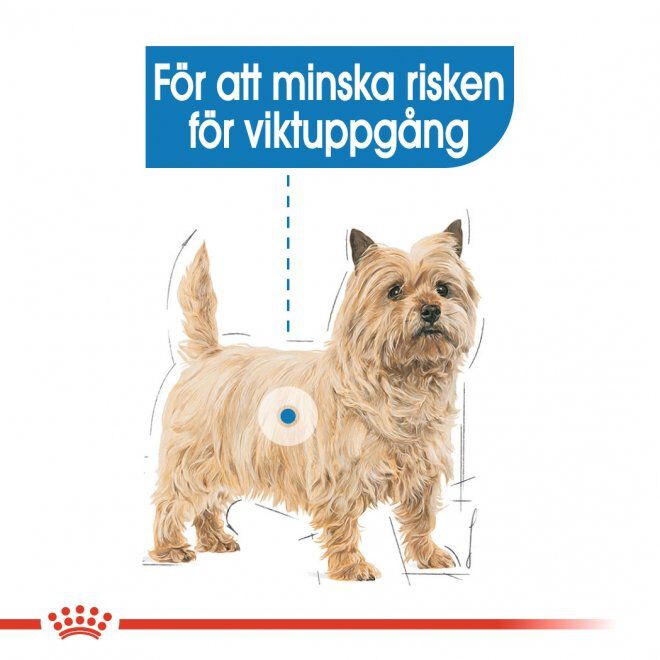 Royal Canin Light Weight Care Adult Loaf våtfoder för hund
