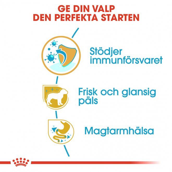 Royal Canin Poodle Puppy torrfoder för hundvalp