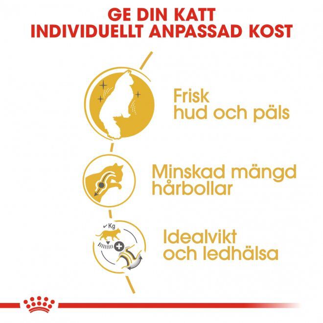 Royal Canin Norwegian Forest Adult torrfoder för katt