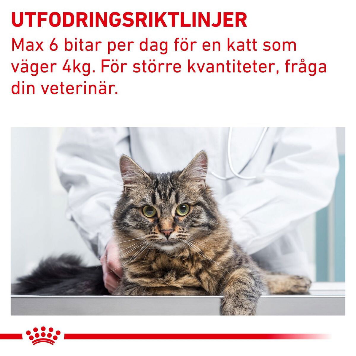 Royal Canin Veterinary Diets Cat Pill Assist 45g