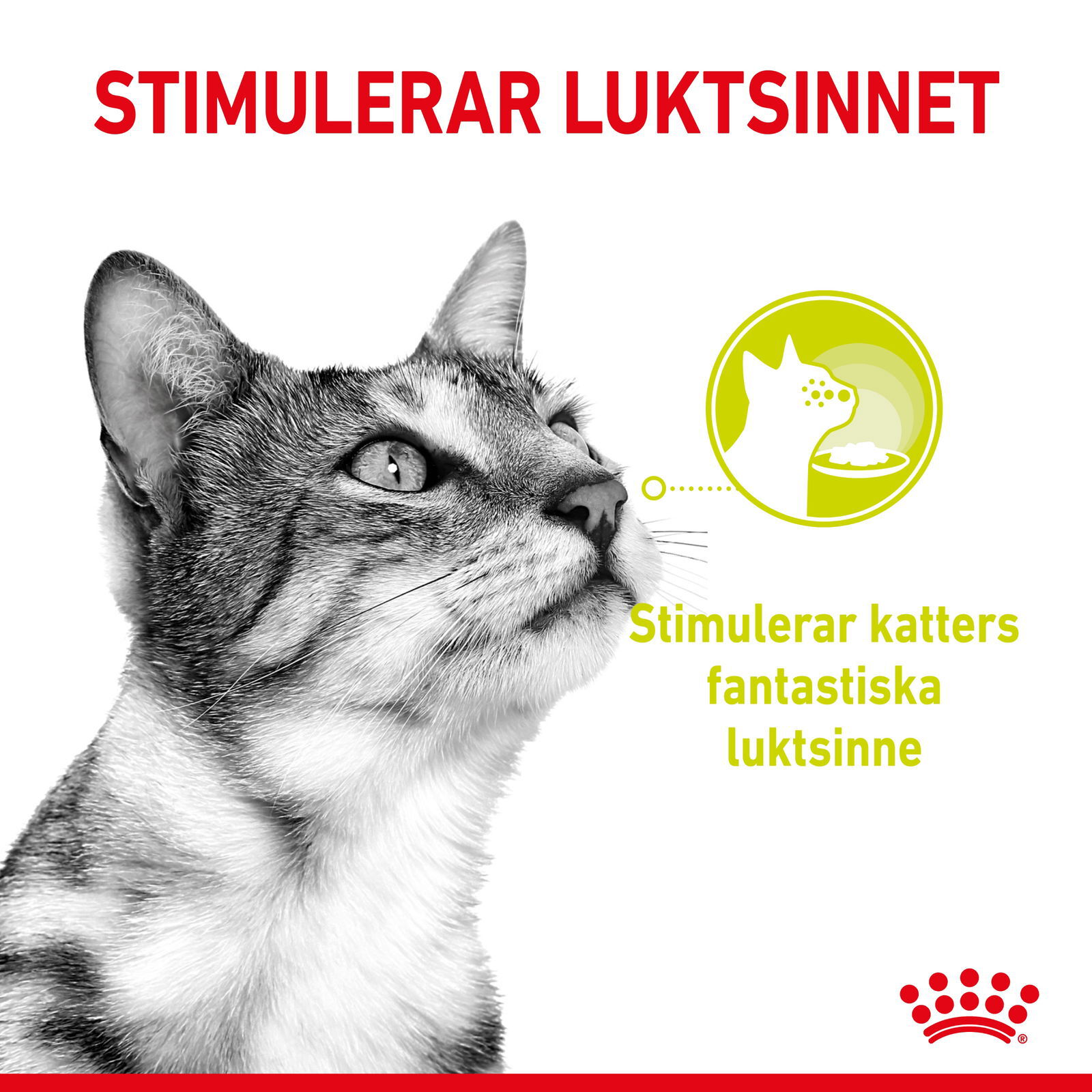 Royal Canin Sensory Smell Gravy Adult våtfoder för katt