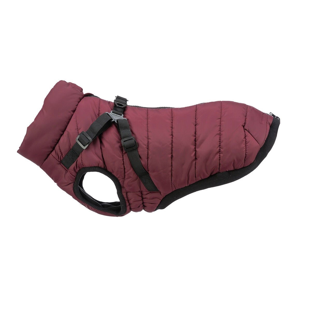 Trixie Pirou coat with harness, sangria