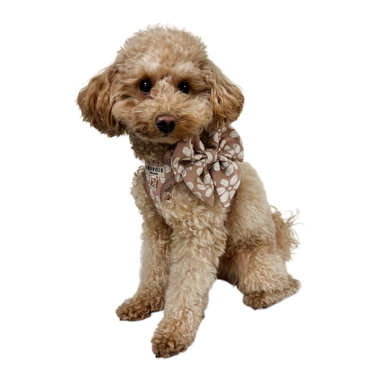 Trufois Sailor Bow Chai