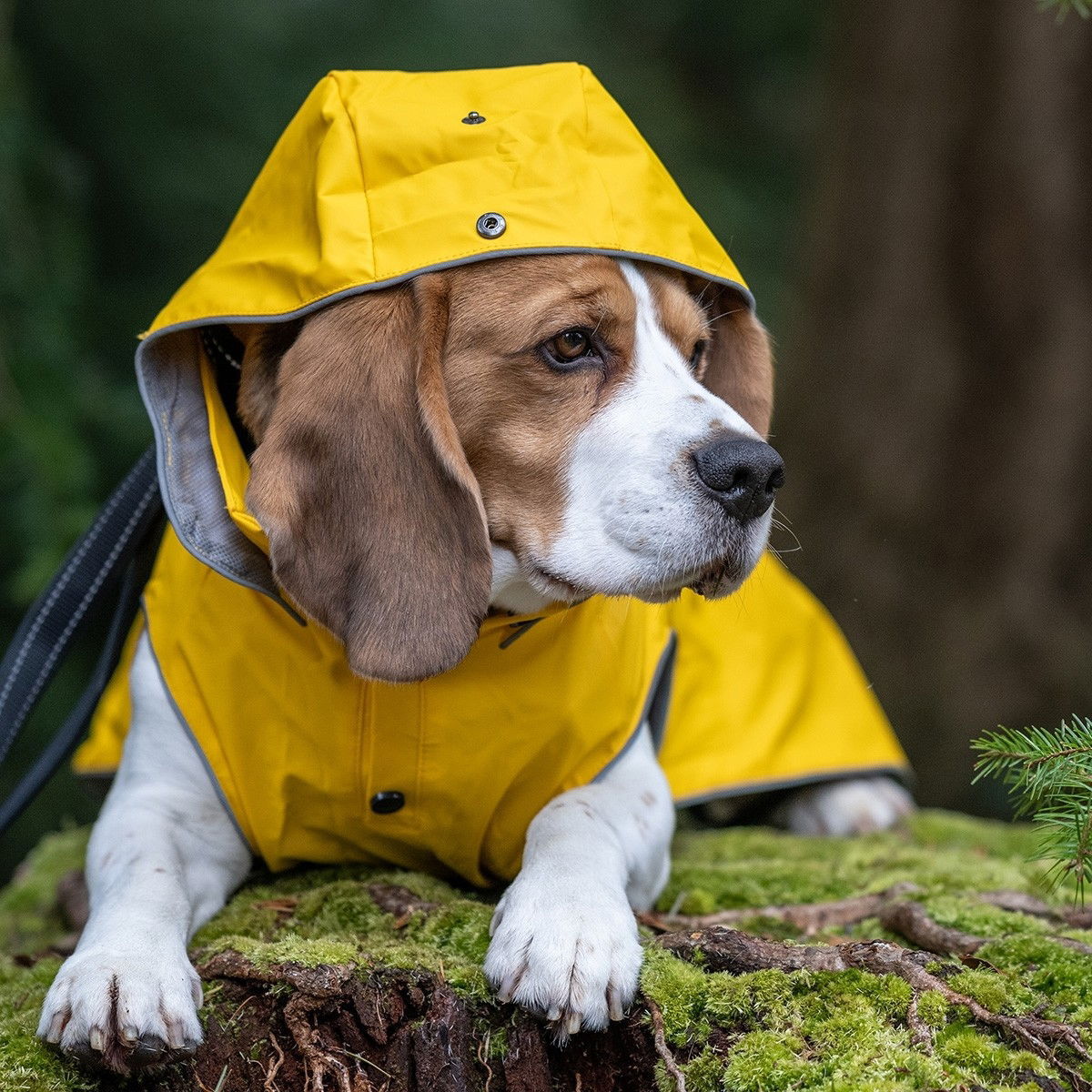 Rukka Stream Regntäcke Gul