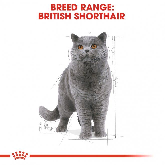 Royal Canin British Shorthair Adult Gravy våtfoder för katt