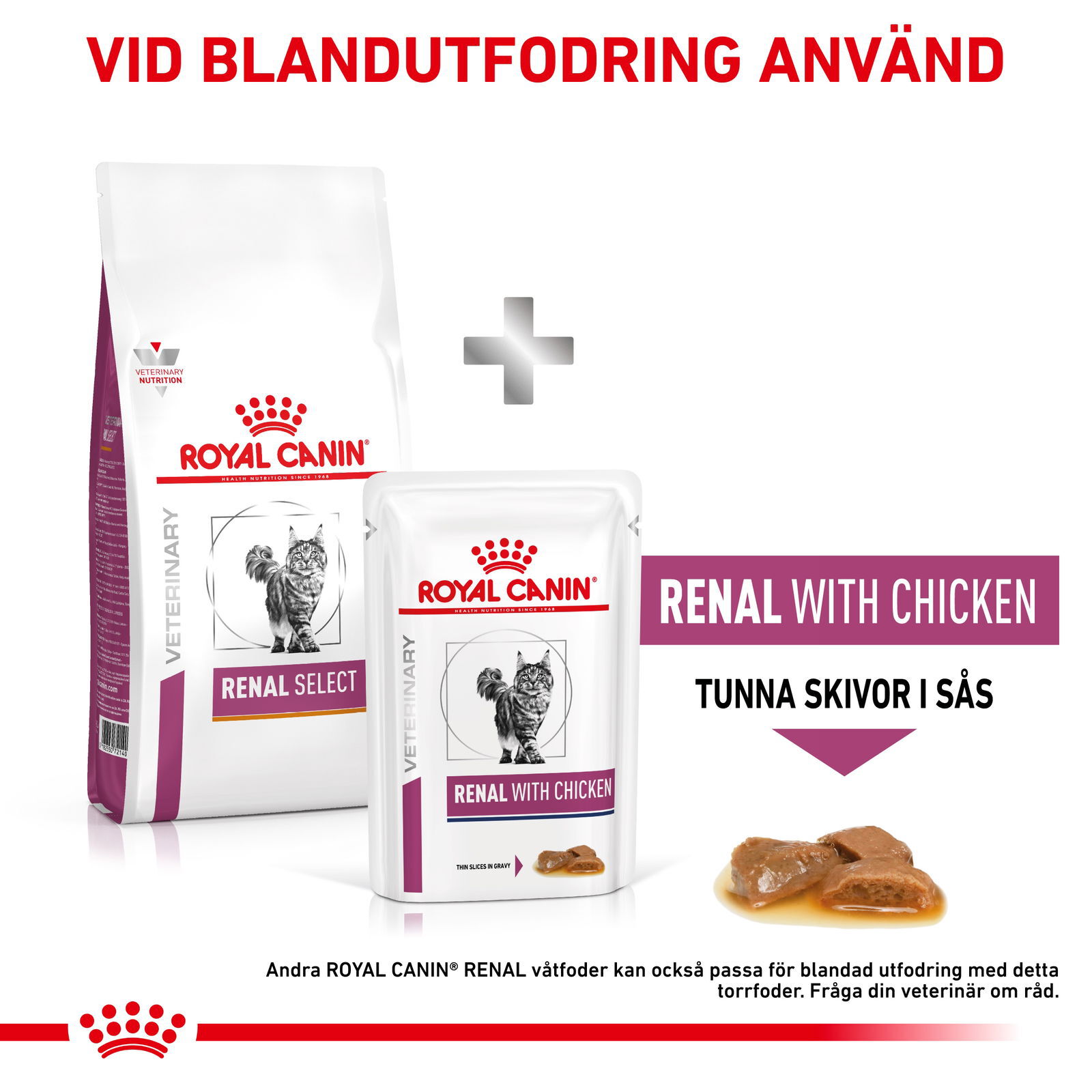Royal Canin Veterinary Diets Renal Select torrfoder för katt