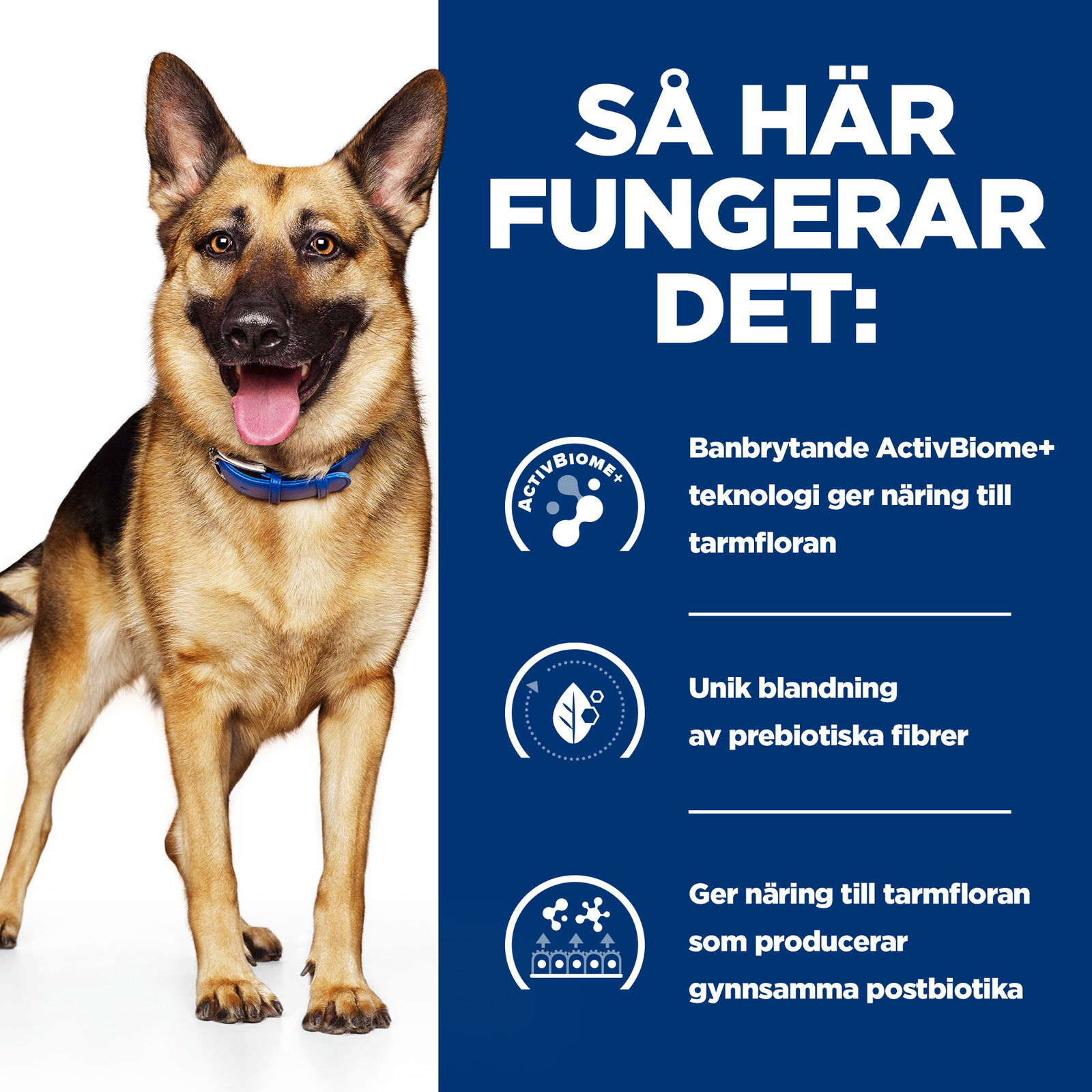Prescription Diet Gastrointestinal Biome Hund med Kyckling