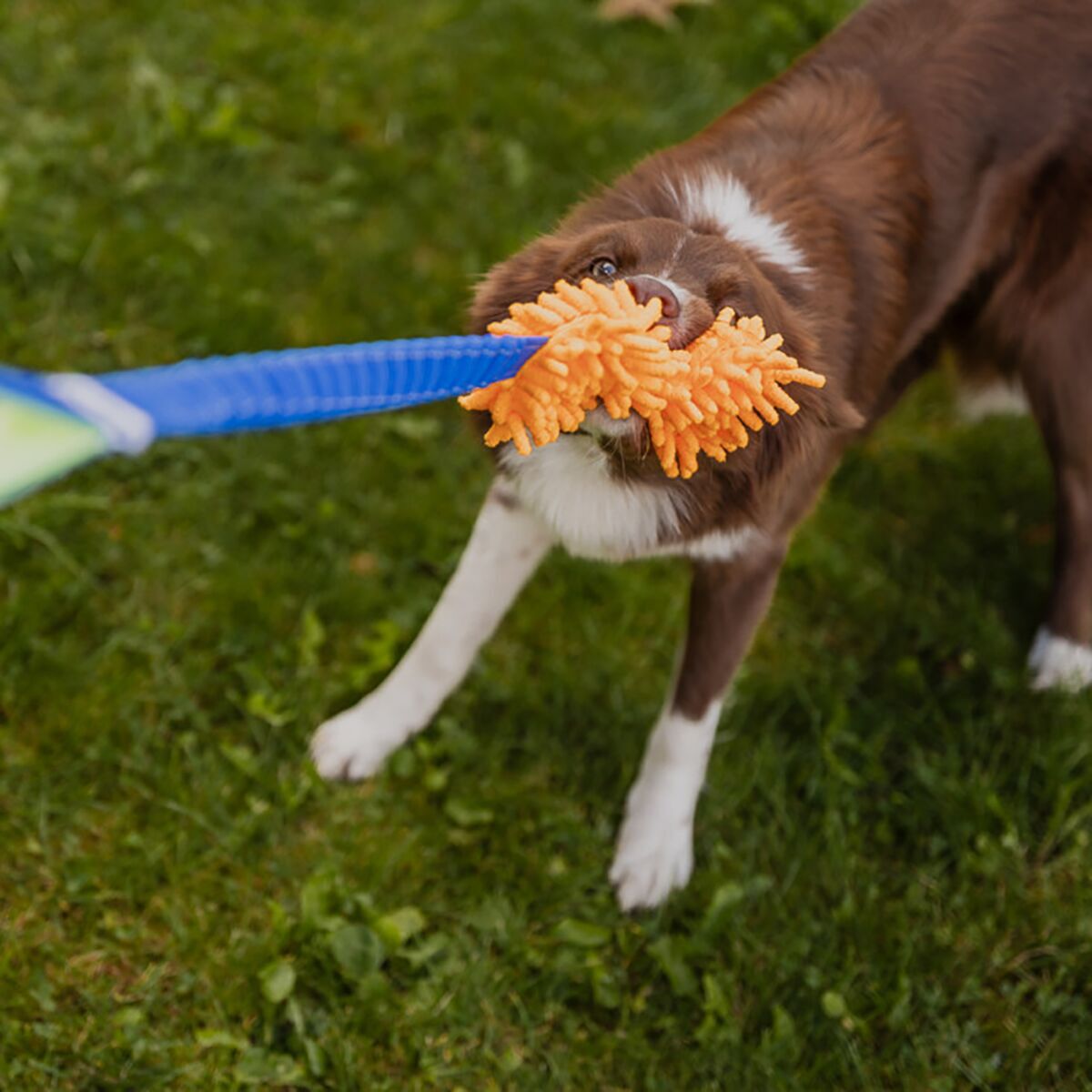 Loype Tug Toy Mopster