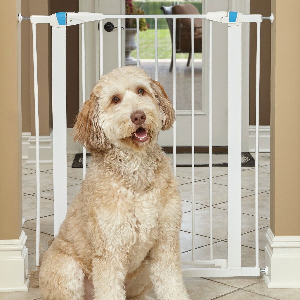 Koiraportti Midwest Glow, valkoinen