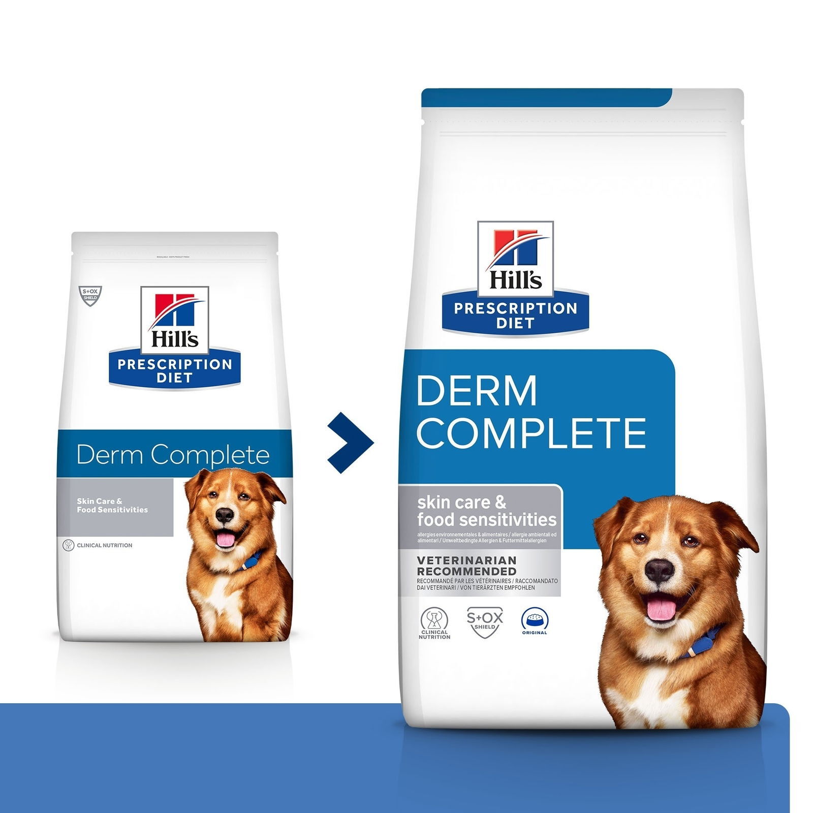 Hill's Diet Dog Derm Complete
