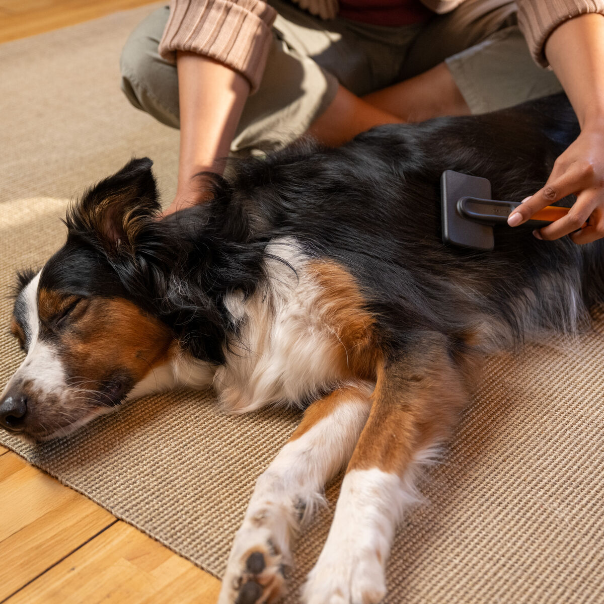 Fiskars massage brush