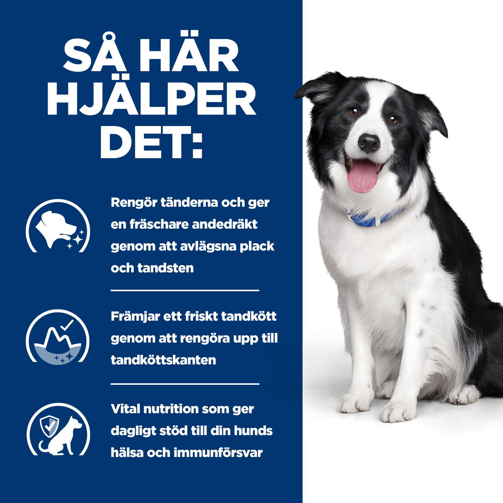 Hills Diet Dog t/d 10kg