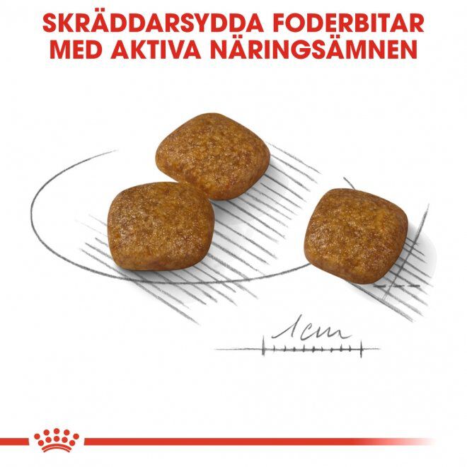 Royal Canin Urinary Care Mini Adult torrfoder för hund