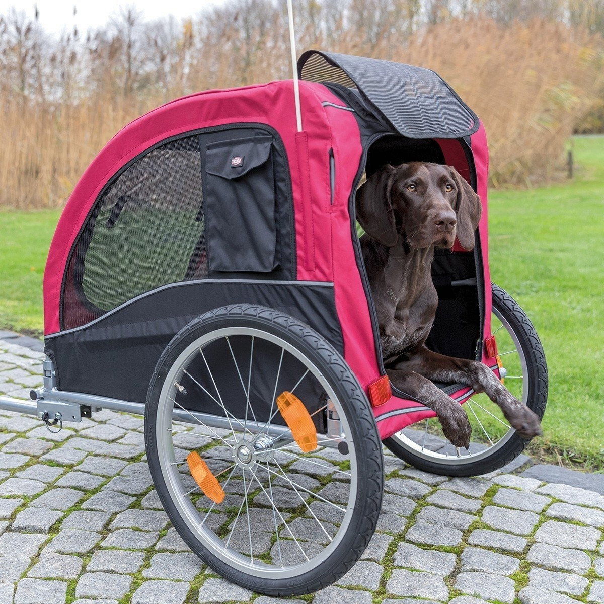 Trixie Cykelvagn svart/röd
