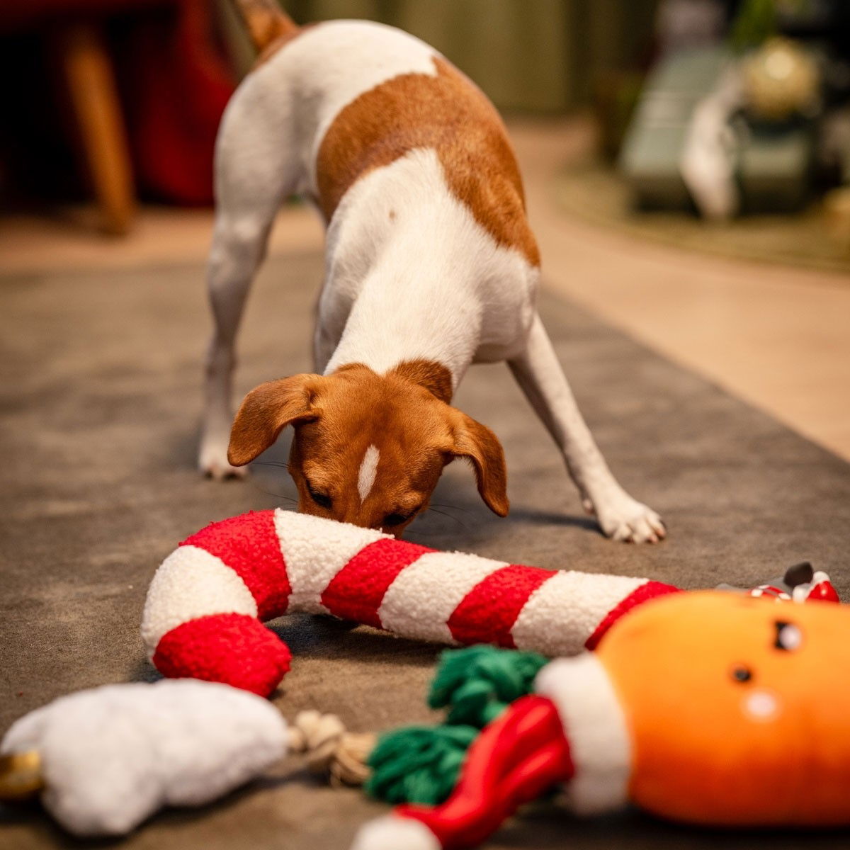 Little&Bigger Xmas Stories XL HappyCarrot w/rope
