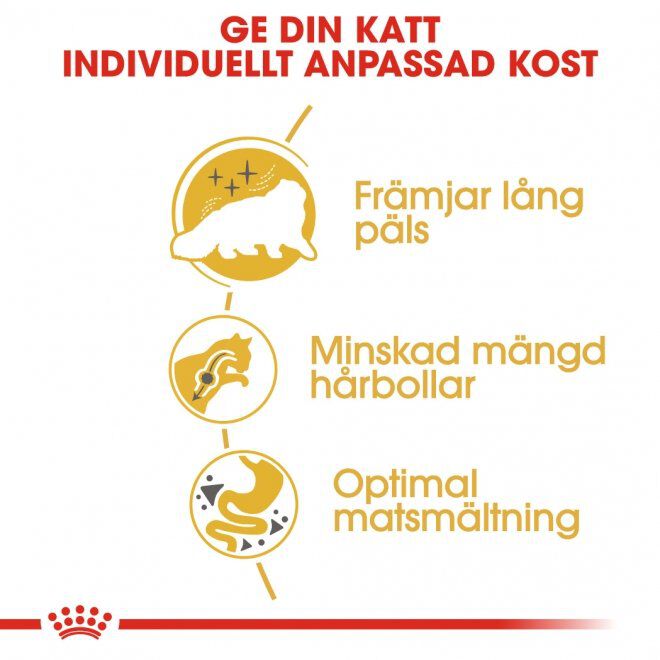 Royal Canin Persian Adult torrfoder för katt