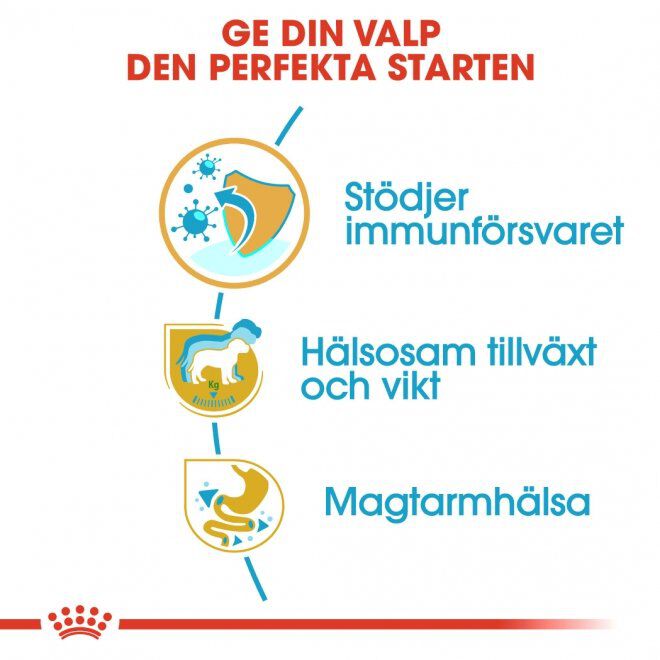 Royal Canin Labrador Retriever Puppy torrfoder för hundvalp