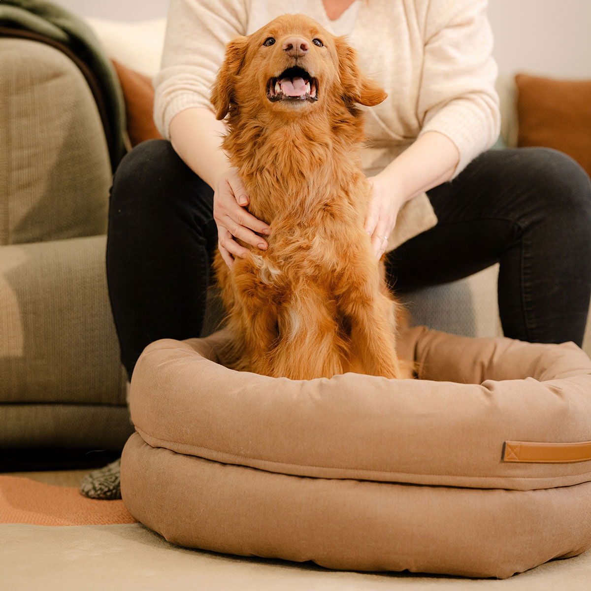 Basic WellB orthopedic donut bed bark