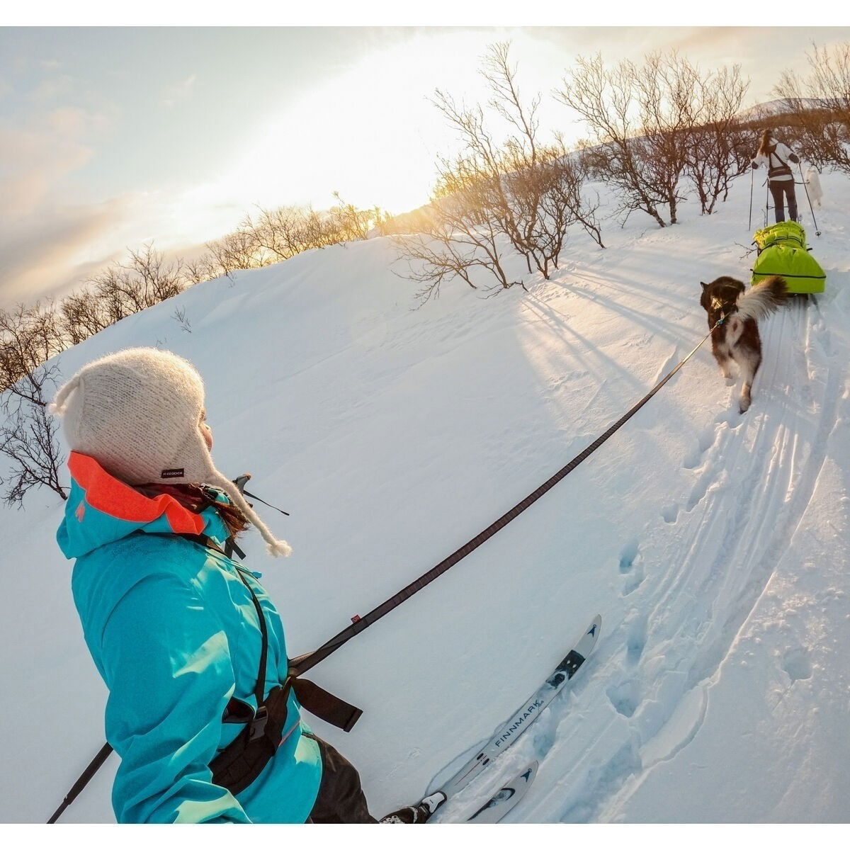 Non-stop Touring Bungee Leash