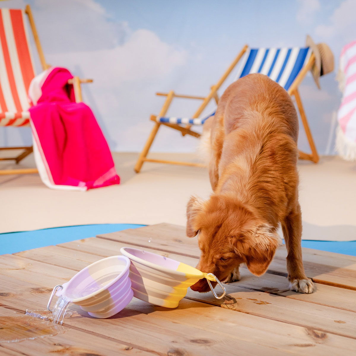 Little&Bigger Voyage collapsible silicone travel bowl lilac-yellow-beige L