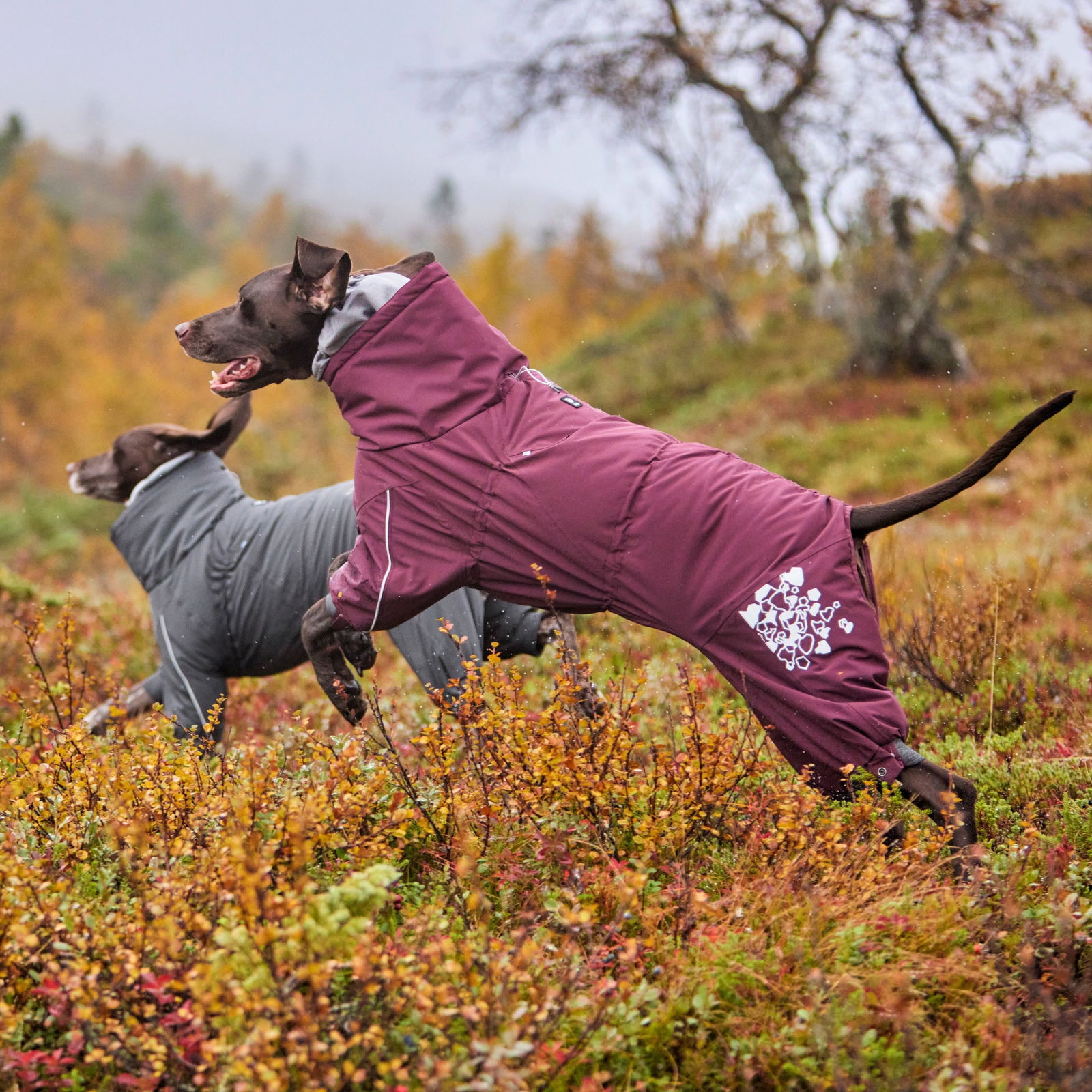 Hurtta Extreme Overall Eggplant