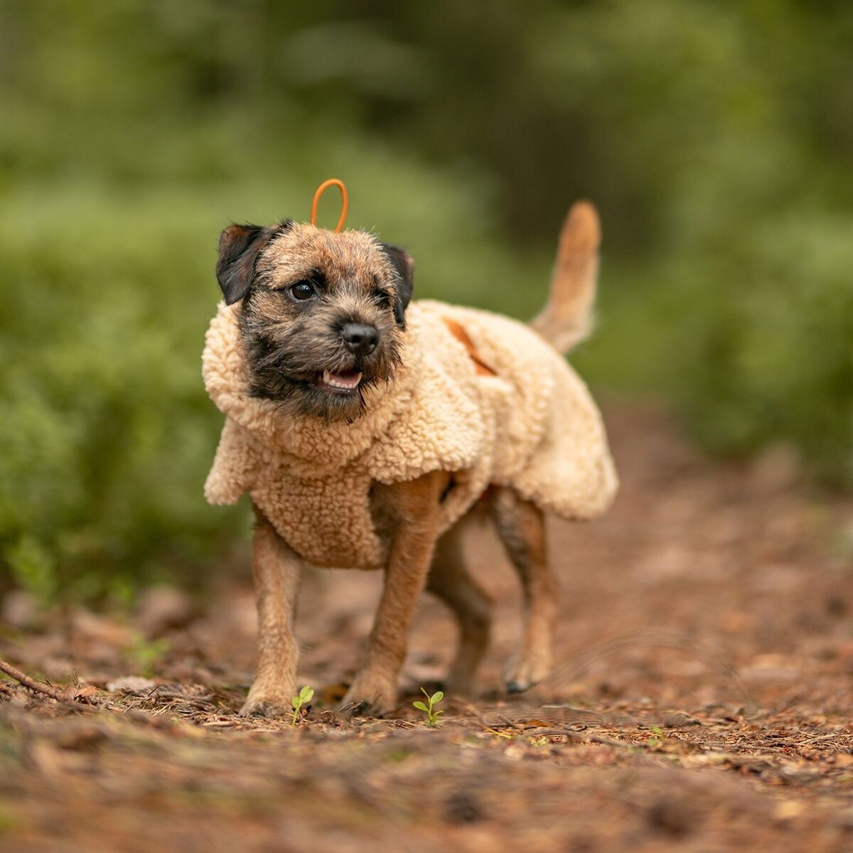 PAIKKA Sherpa shirt, Taupe