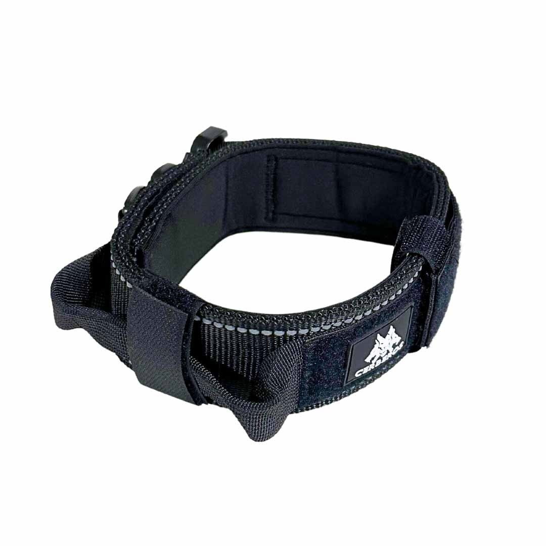 Cerberos Dog Collar Black