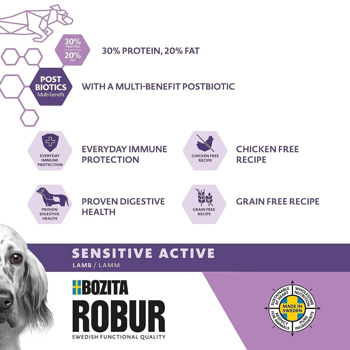 Robur Sensitive Grain Free Active