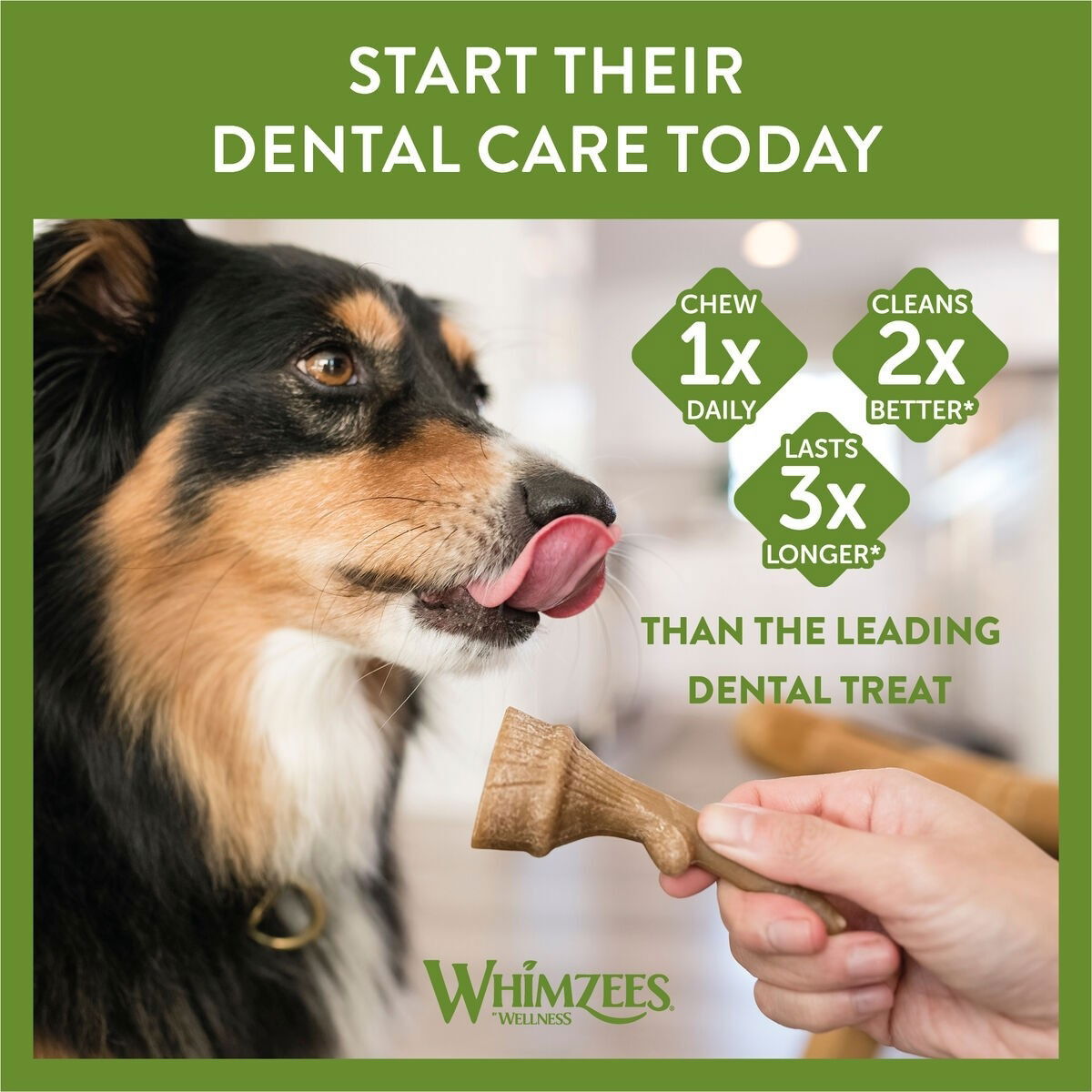 Whimzees Occupy Antler M Functional chew for dogs