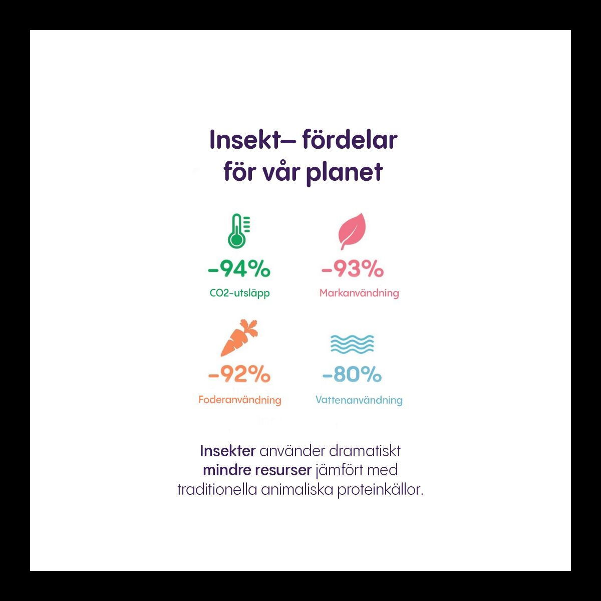 Petgood insect-based cat food adult