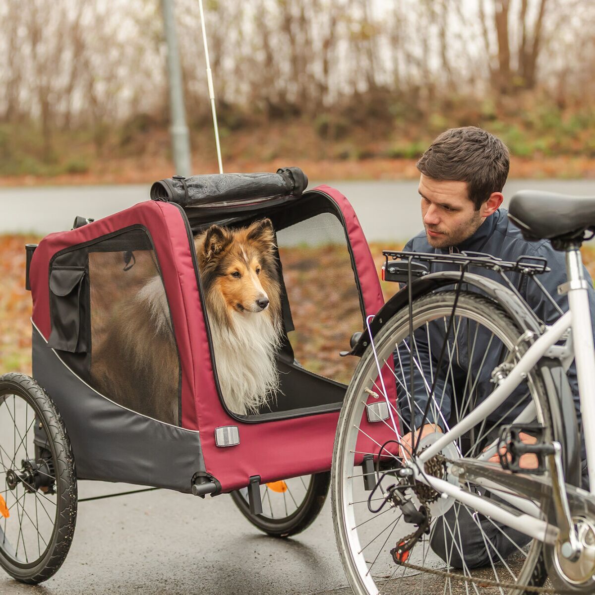 Trixie Bicycle trailer, grey/red