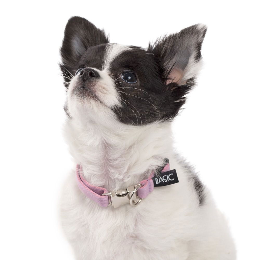 Basic Sweet Valphalsband med metalllås | Hund - Valp - Valpaccessoarer - Valphalsband | DogStyle