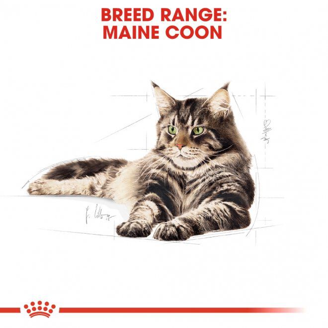 Royal Canin Maine Coon 400 g